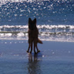 Meet your Posher, Becky